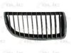 BMW 51137120010 Radiator Grille